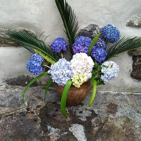 Apartmán Casas Da Quinta Santa Cruz das Flores