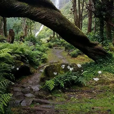 Casas Da Quinta * Santa Cruz das Flores