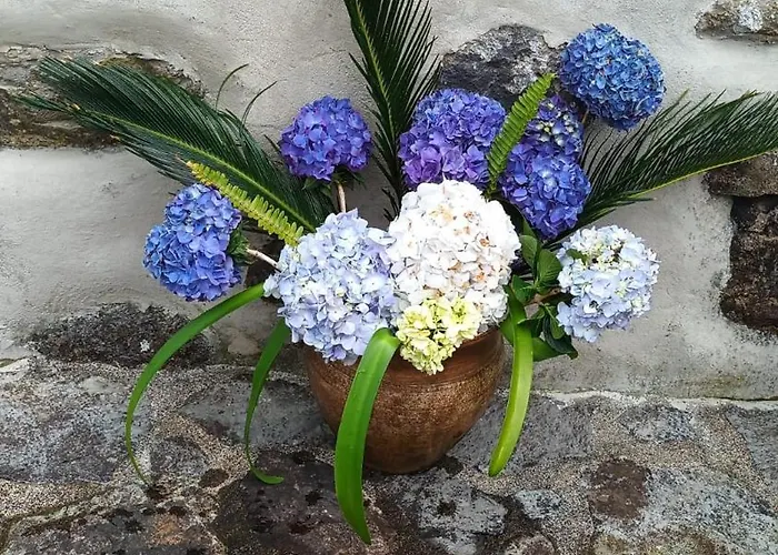 Appartement Casas Da Quinta Santa Cruz das Flores