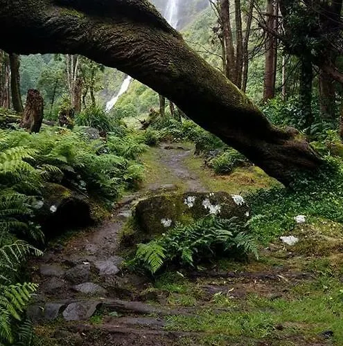 Casas Da Quinta * Santa Cruz das Flores